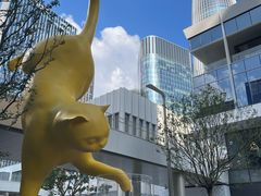 -深圳湾万象城(南山店)