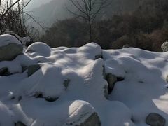 -卧龙中华大熊猫苑神树坪基地