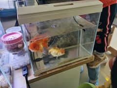 -平行世界·猫咖(首经贸店)