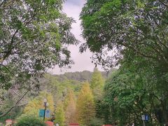 -云溪植物园