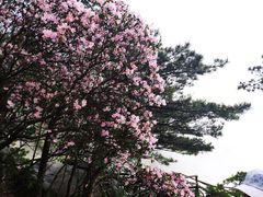 -萍乡武功山风景名胜区