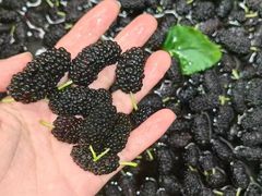 -张翻越·川渝冒菜·武汉黑鸭煲(城北万象城店)