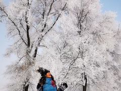 -雾凇岛