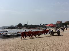 -老虎石海上公园