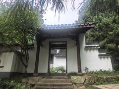 -天目山大树王景区