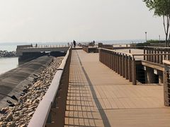 -东疆建设开发纪念公园