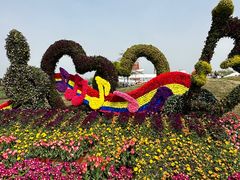 -荷兰花海