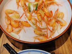 -椿不老