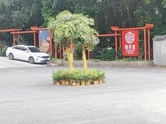 -阿伟海鲜楼·福建菜(涵江店)
