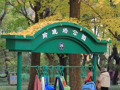 -玲珑塔公园