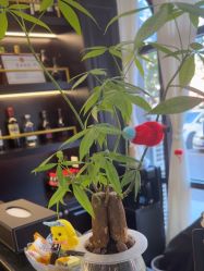 -豪帅男士理容馆