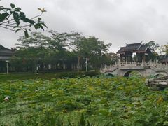 -惠州西湖丰渚园