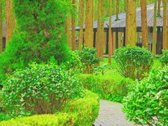 -泗洪洪泽湖湿地景区