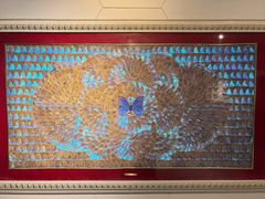 -上海昆虫博物馆