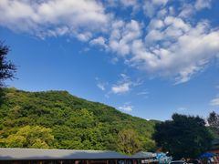-参仙谷生态旅游度假区