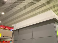 -谢列梅捷沃国际机场