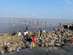 -南汇嘴观海公园