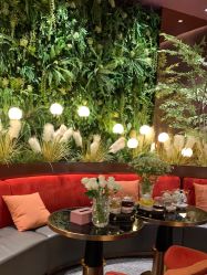 -花隐·美芙炫海菲秀皮肤管理中心