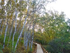 -塞罕坝国家级自然保护区