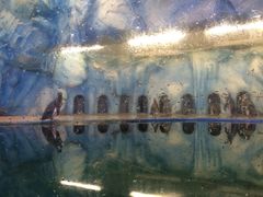 -常州海昌海洋探索馆