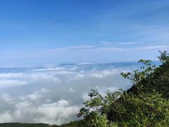 -武陵山森林公园