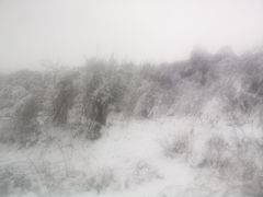 -太子岭滑雪场