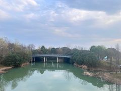 -贡湖湾湿地公园