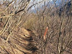 -安吉龙王山风景区