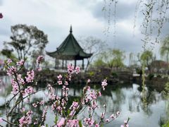 -无锡蠡湖国家湿地公园-蠡园