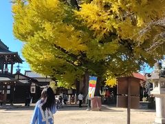 -医王山·飞騨国分寺