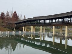-眉山湿地公园(东坡区)