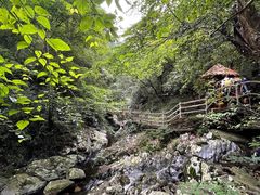 -永州阳明山国家森林公园