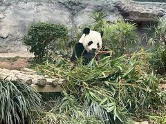 -石排湾郊野公园