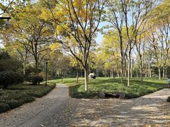 -杭州城北体育公园