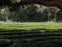 -敬亭山风景名胜区