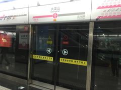 -大龙山(地铁站)