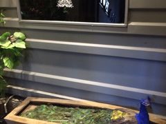 -陈阿婆重庆绿色鱼火锅