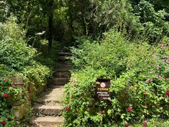 -白马涧龙池景区