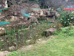 -秀丽东方