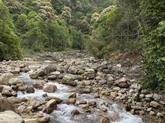-姑婆山旅游区
