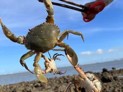 -馨越楼·点心·粤菜(赤坎店)