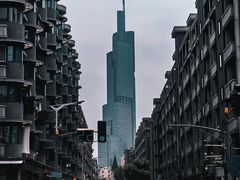 -紫峰大厦