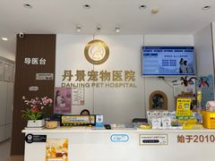 -丹景宠物医院·全科·老年病·牙科(武昌诊疗中心)