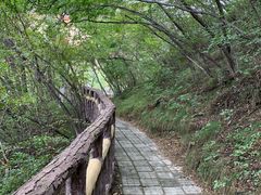 -圣莲山风景区