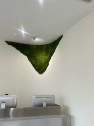 -AIST爱思特医疗美容医院