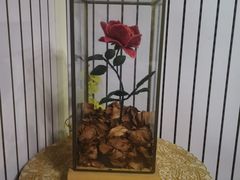 -K·Kitchen KK牛扒厨房(江南西店)