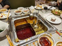 -海底捞火锅(赛格国际购物中心店)