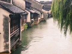 -乌镇西栅景区