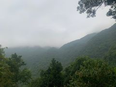 -梧桐山风景名胜区