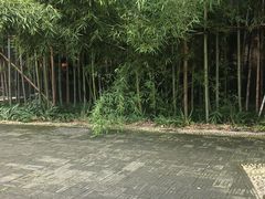 -龙潭水乡